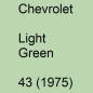 Preview: Chevrolet, Light Green, 43 (1975).